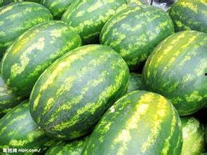 网红情报处吃瓜,吃瓜群众背后的故事