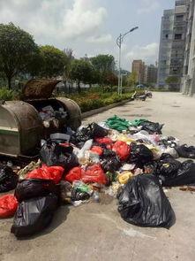 务川爆料新闻,揭秘当地热点事件背后的真相