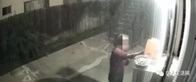 小院大妈爆料视频大全,揭秘社区生活点滴