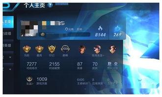 王者爆料表哥视频大全,表哥视频大全，揭秘游戏幕后故事