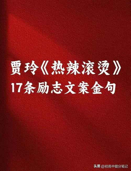 娱乐爆料文案励志视频,娱乐爆料背后的奋斗故事