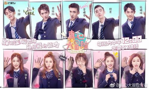 真心大冒险问题爆料视频,视频爆料背后的惊人真相