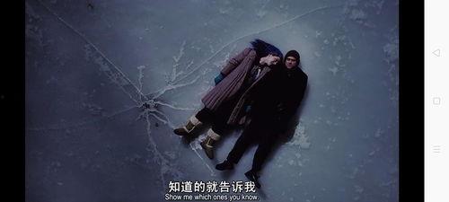 暖暖内含光在线观看,穿越时空的浪漫邂逅