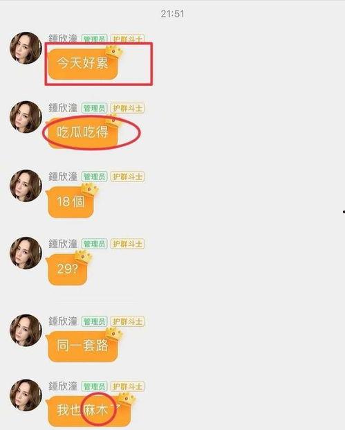 吃瓜快娱乐,揭秘娱乐圈幕后故事，带你领略明星真实生活