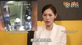 娱乐圈吃瓜宝典400页