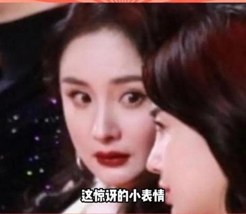 娱乐圈的瓜在哪里吃,揭秘各大平台瓜源汇总